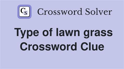 grass crossword clue|kind of grass crossword clue.